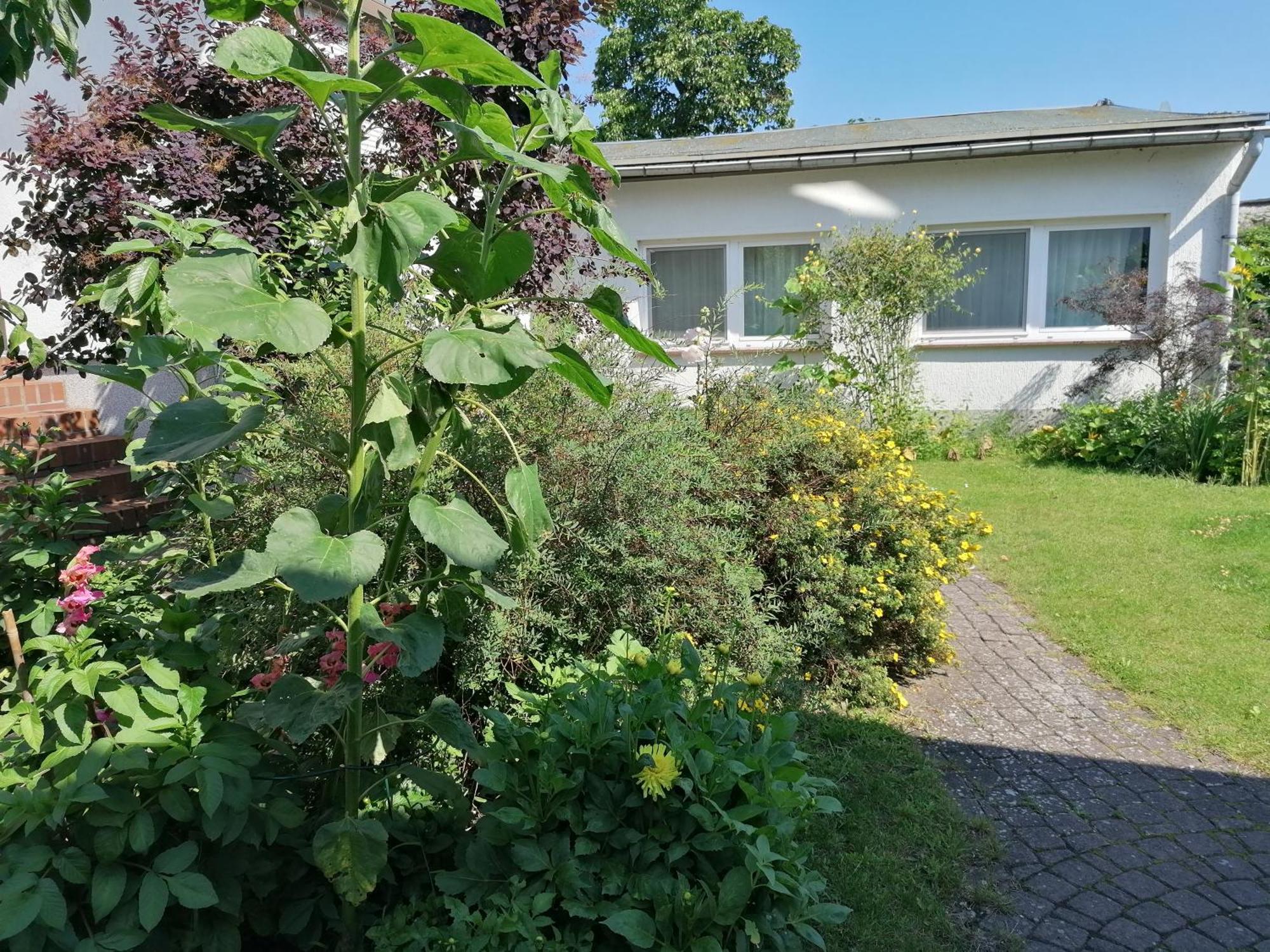 Pension Haus Anneliese Ückeritz Buitenkant foto