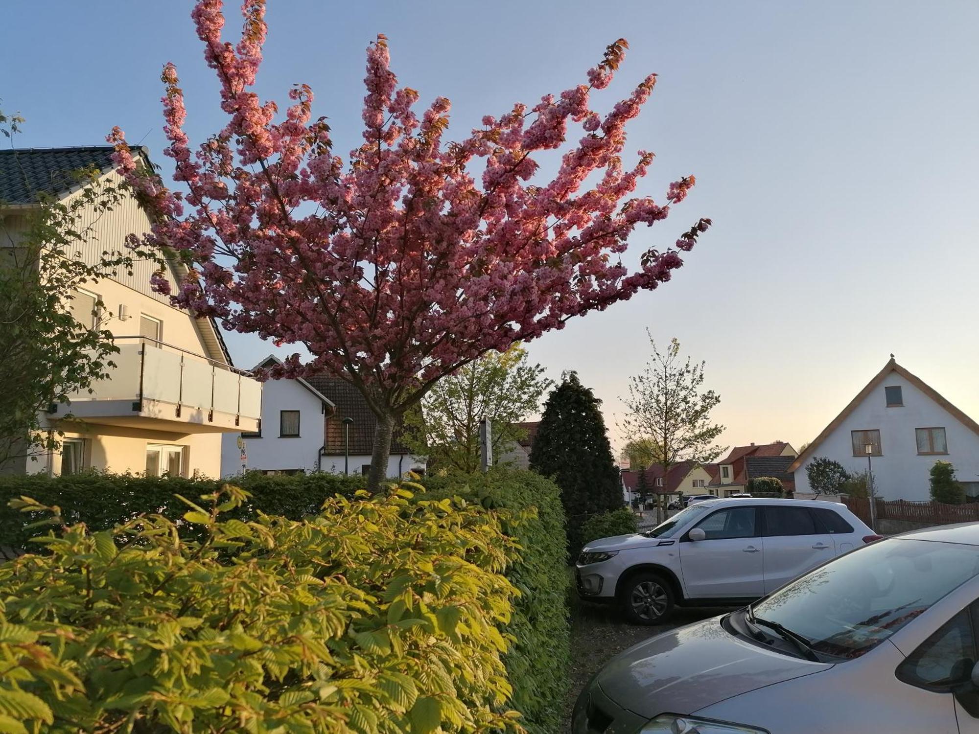 Pension Haus Anneliese Ückeritz Buitenkant foto