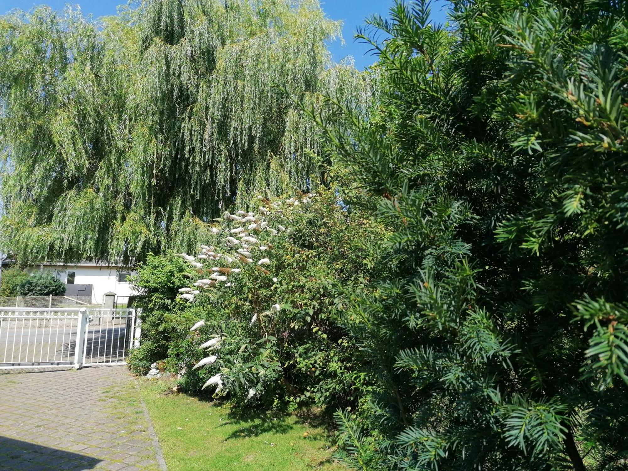 Pension Haus Anneliese Ückeritz Buitenkant foto