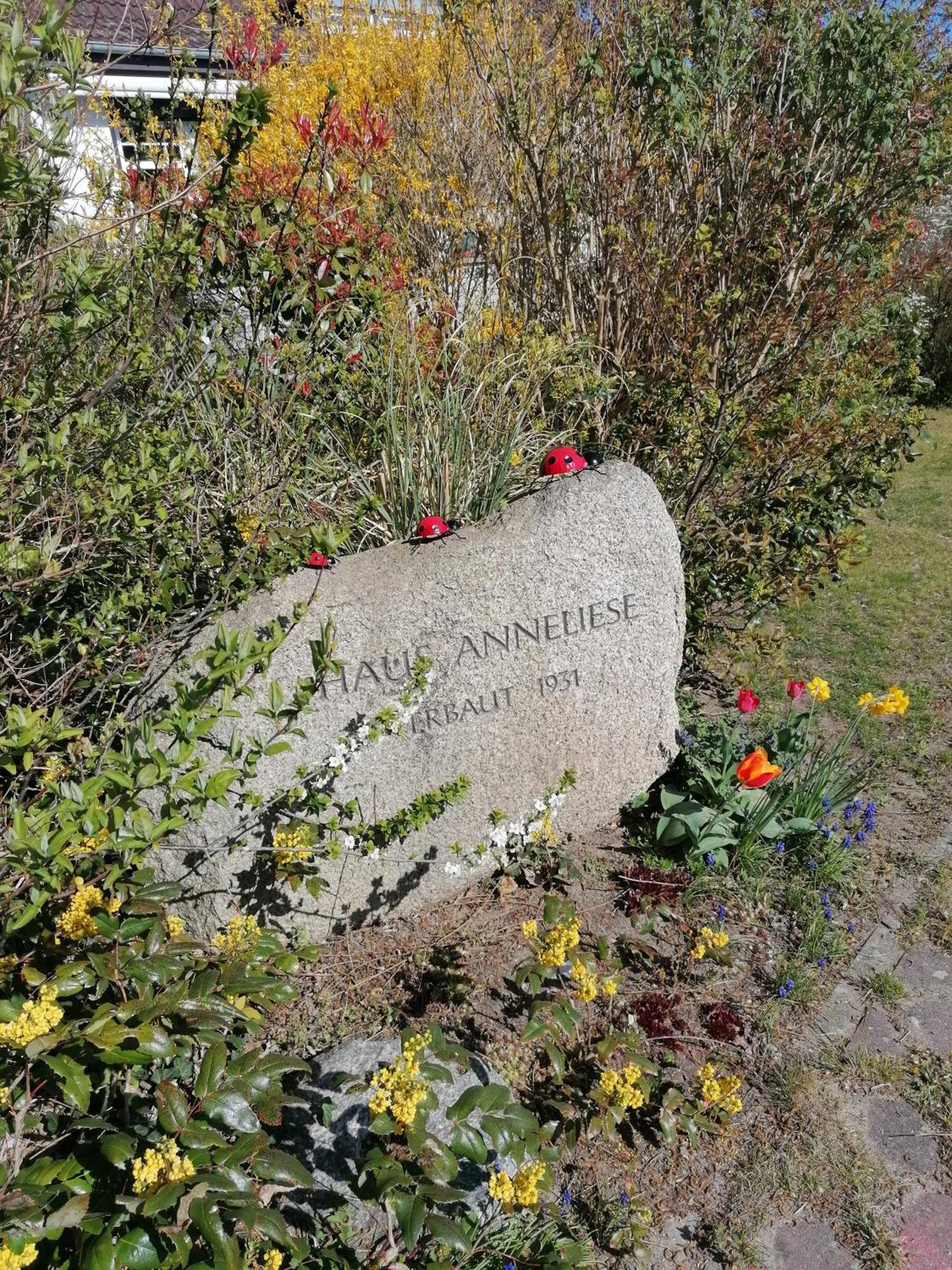 Pension Haus Anneliese Ückeritz Buitenkant foto