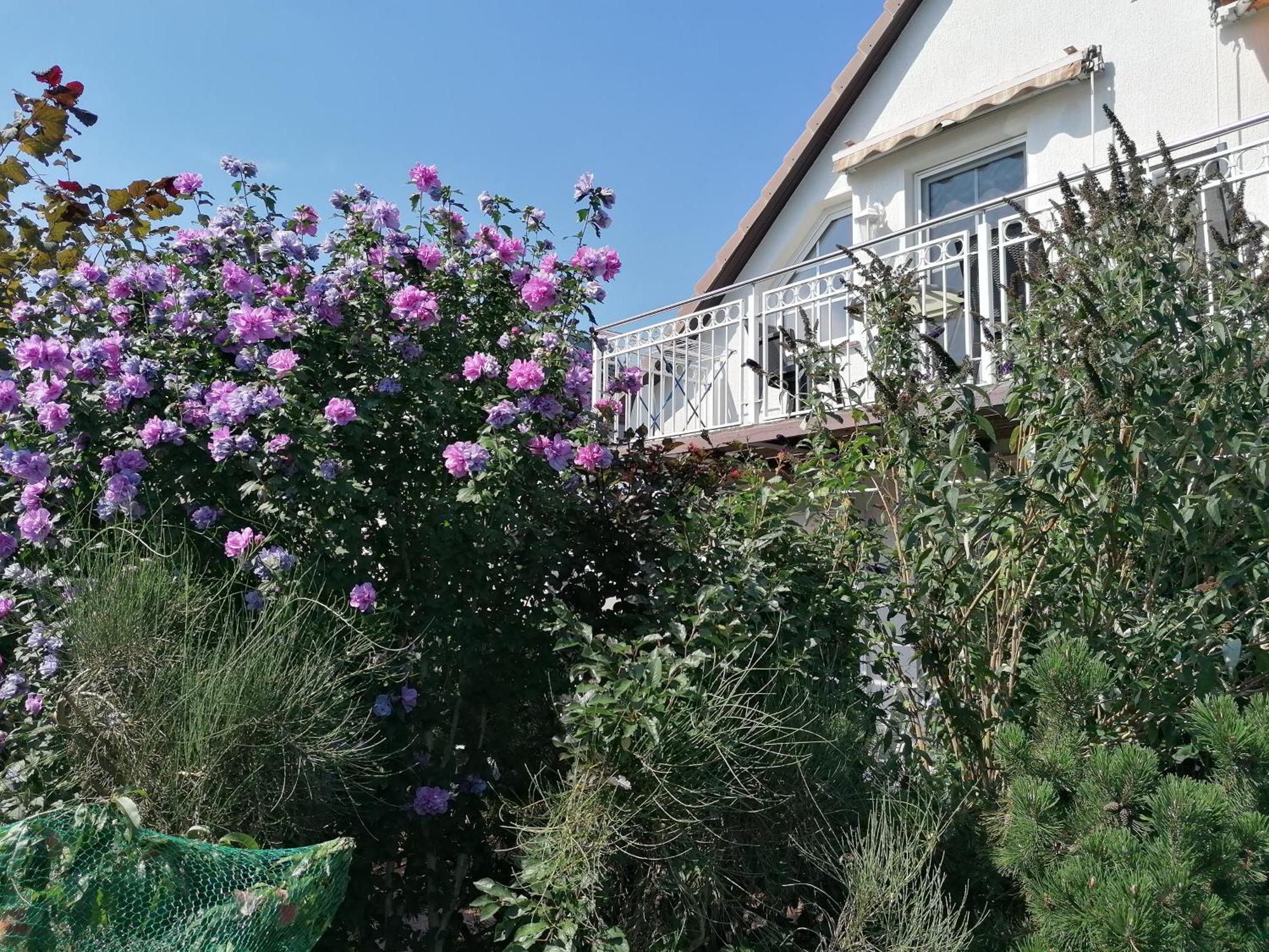 Pension Haus Anneliese Ückeritz Buitenkant foto